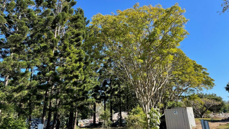 LOT 9 RIVERINA NERANG-3