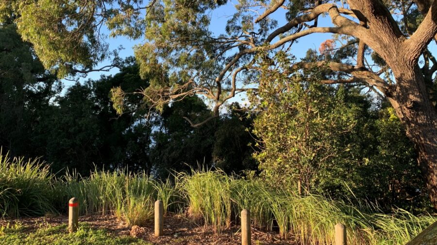 The Esplanade Redland Bay-4